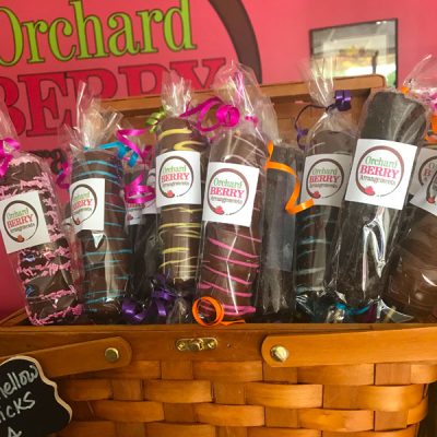 Chocolate covered Marshmallows - Orchard Berry Arrangements